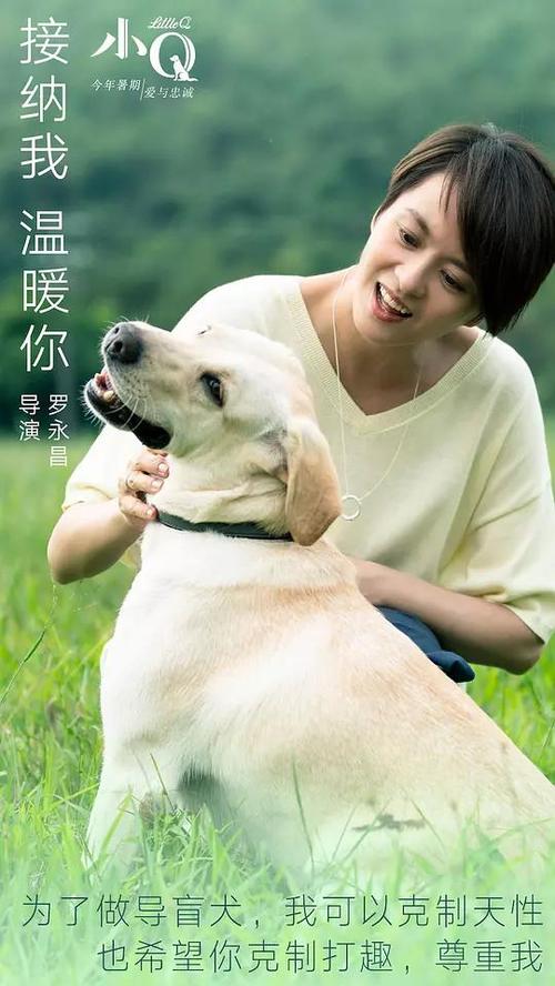私企会查学位证吗